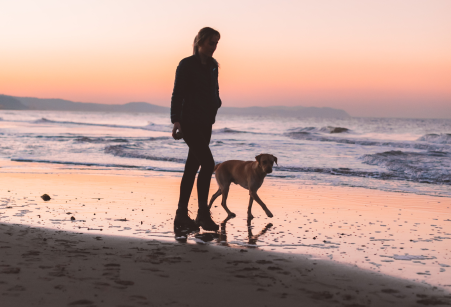 2. ¿Sueles pasear a tu perro entre el atardecer y el amanecer?