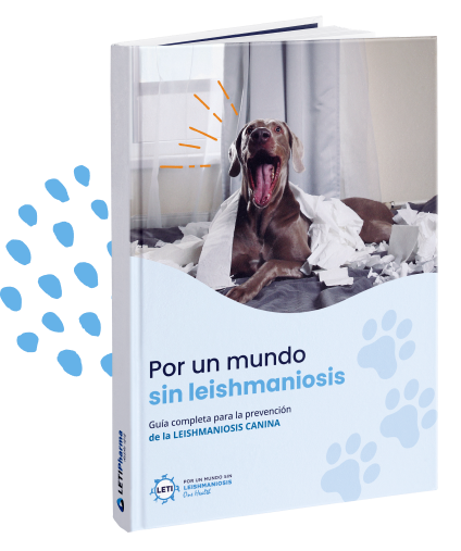 Guia para a prevenção da leishmaniose canina