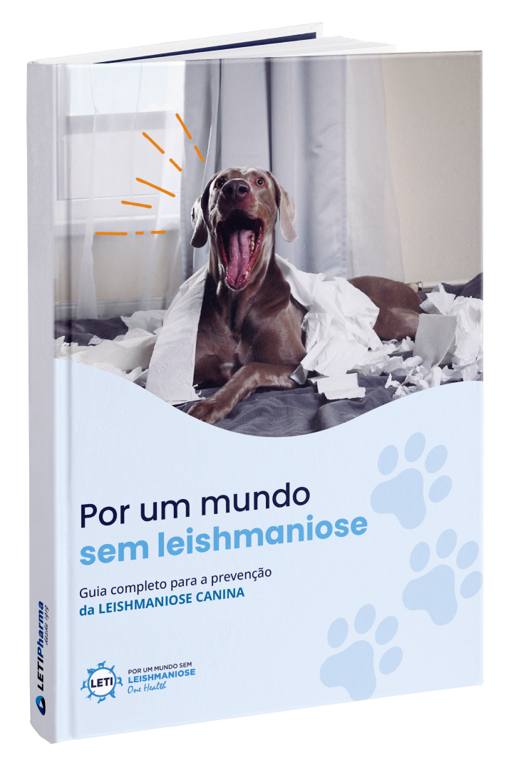 Guía descargable