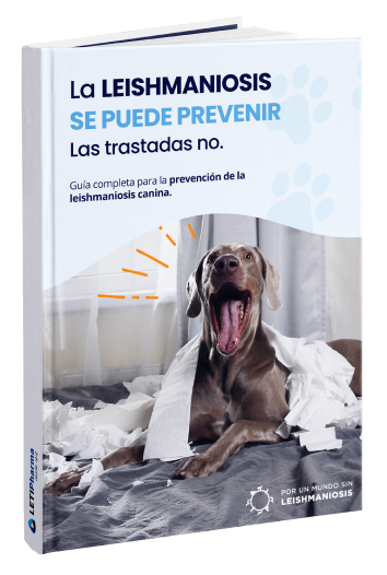Descarga nuestra guía gratuita