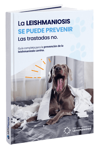 Razas de perros más propensas a contraer la leishmaniosis canina