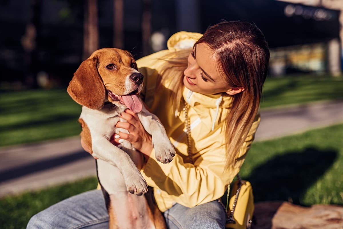 Mi perro tiene leishmaniosis: 5 consejos para convivir con ella 