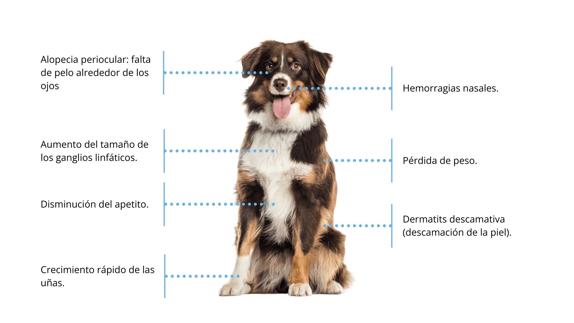 Signos clínicos