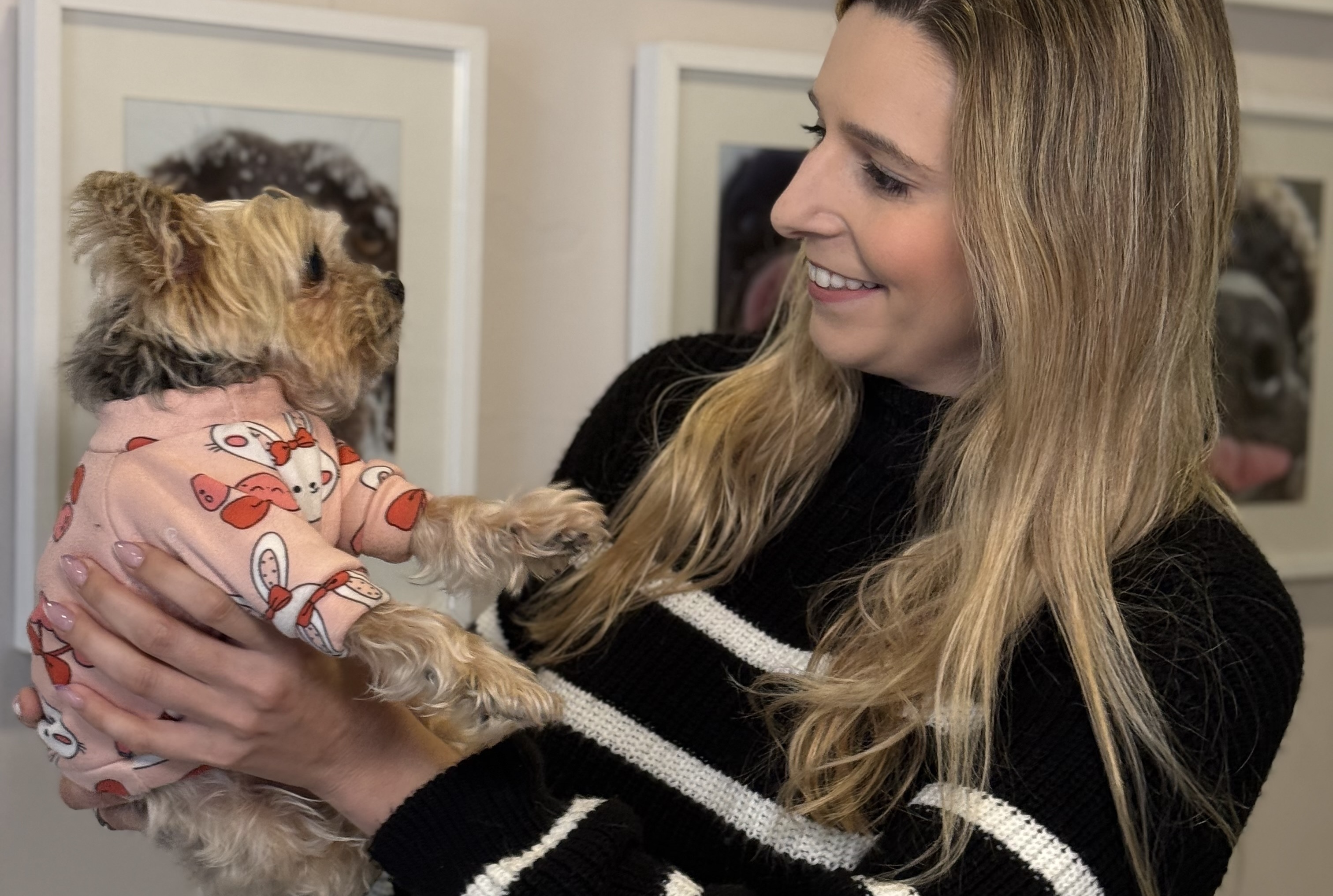 ¿Cómo contraen los perros la leishmaniosis?
