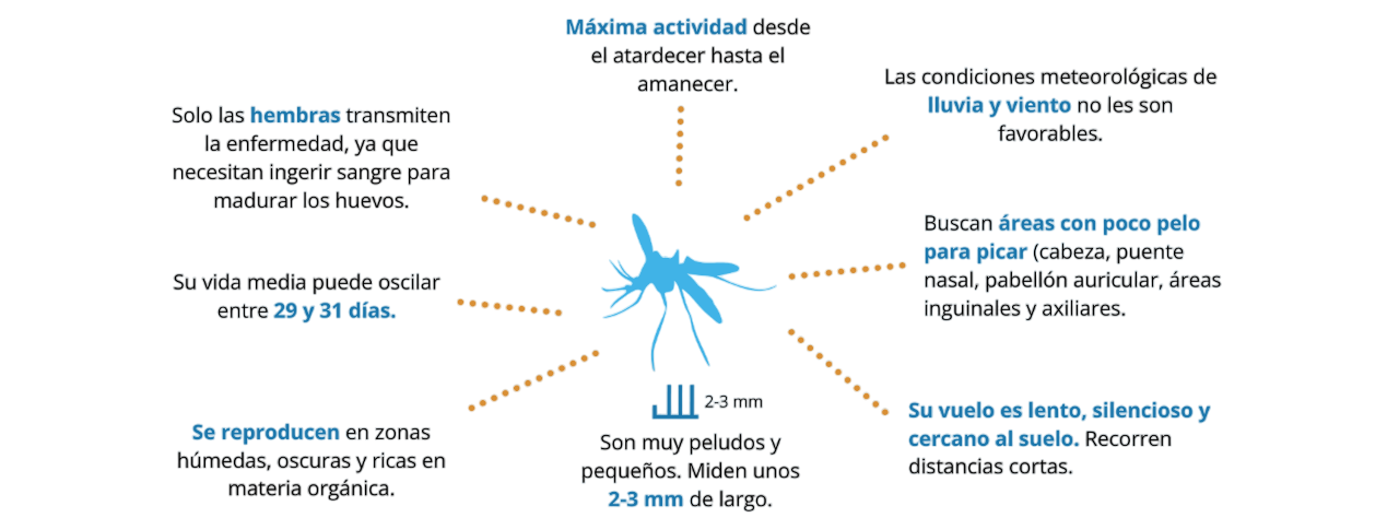 imagearticle