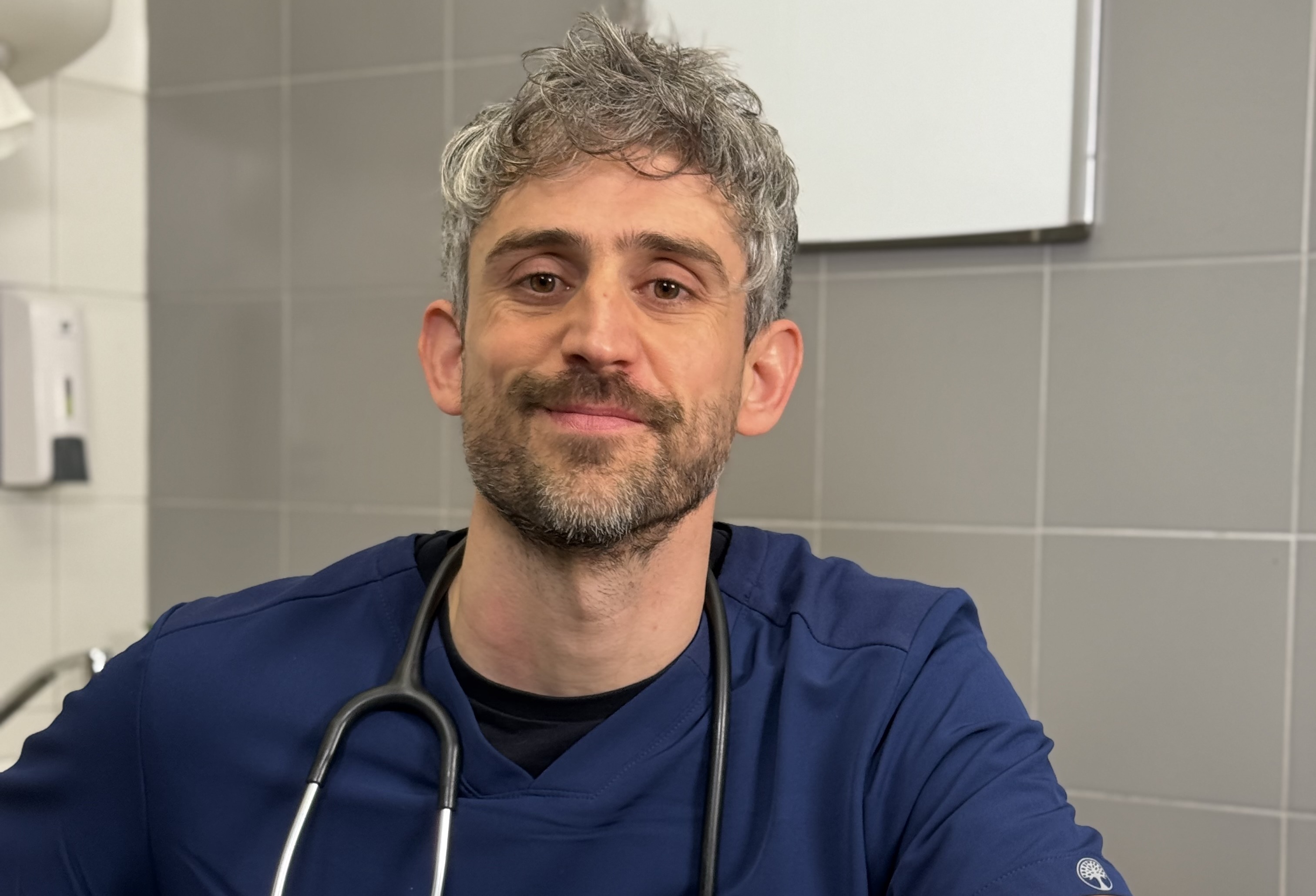 Cómo cuidar las lesiones en las orejas por leishmaniosis canina