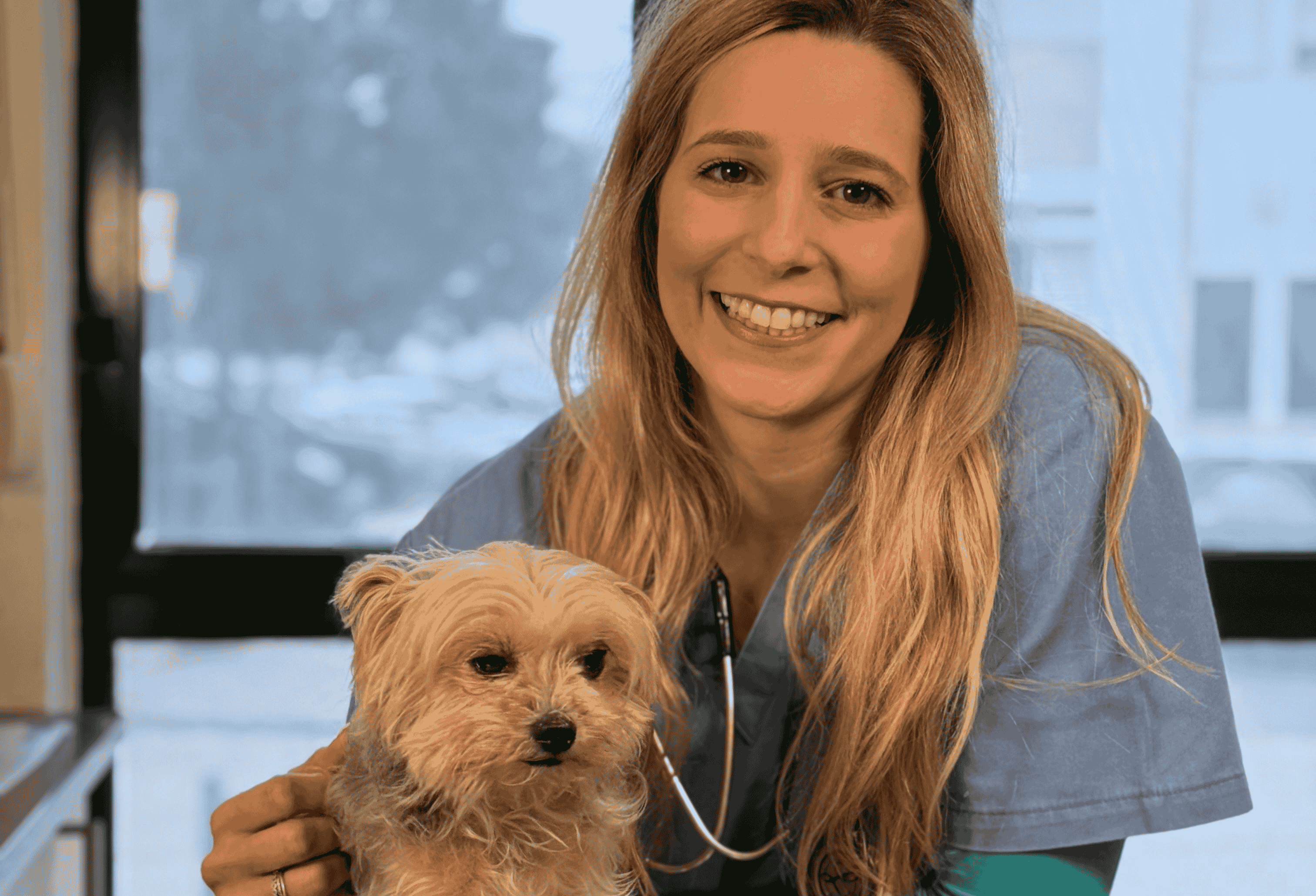 Leishmaniosis canina: guía completa para garantizar la calidad de vida tras el diagnóstico