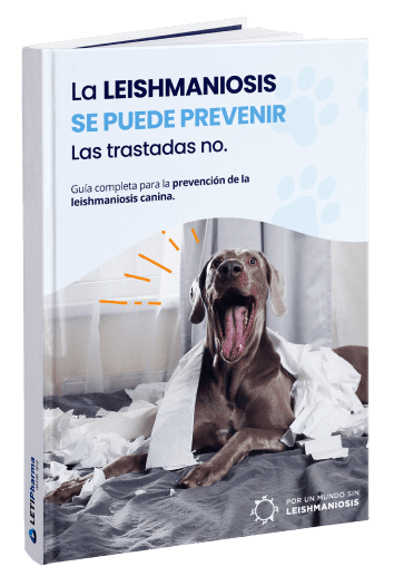 Faça o download do nosso guia gratuito