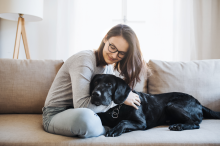 Cuidados para perros con Leishmaniasis ¿Cómo puedo ayudar a mi perro?​ 