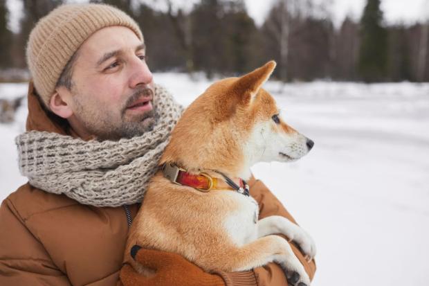 ¿Cómo afecta la leishmaniosis al sistema inmunitario de mi perro? 