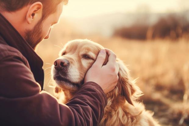 Leishmaniosis canina: una zoonosis que puede afectar tanto al hombre como a perros